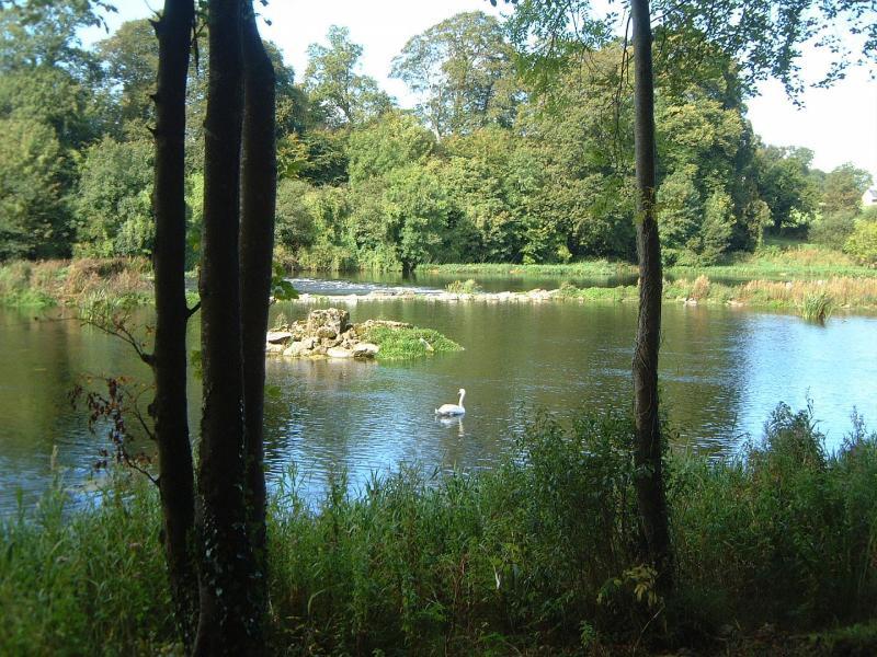Castle Oaks House Hotel Castleconnell Bagian luar foto