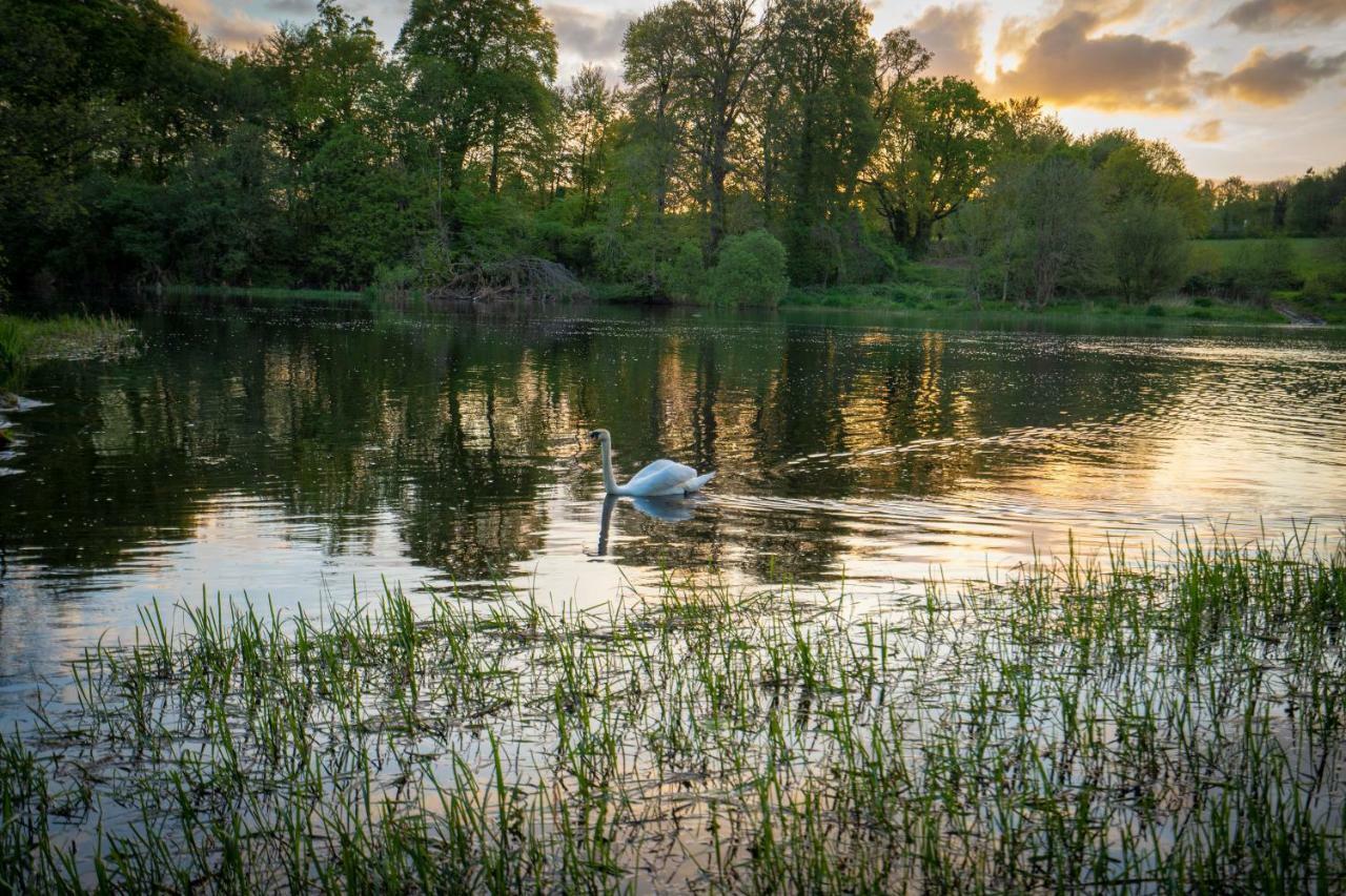 Castle Oaks House Hotel Castleconnell Bagian luar foto
